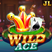 Wild Ace related playtime apk game